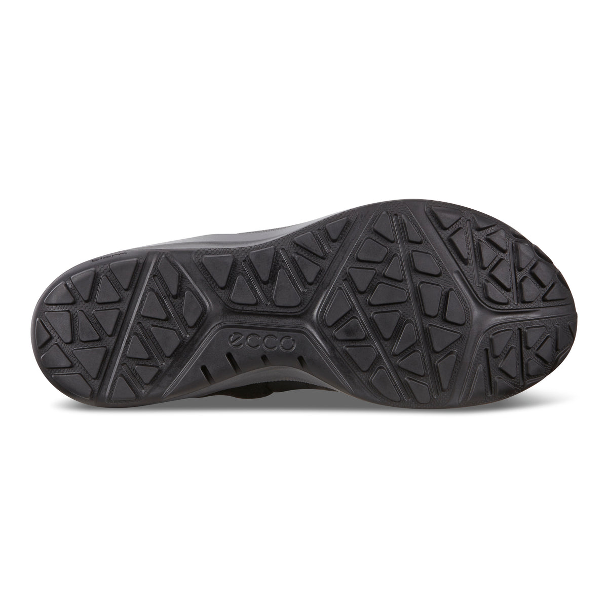 ECCO Biom 2go Herren Schwarz Sohle