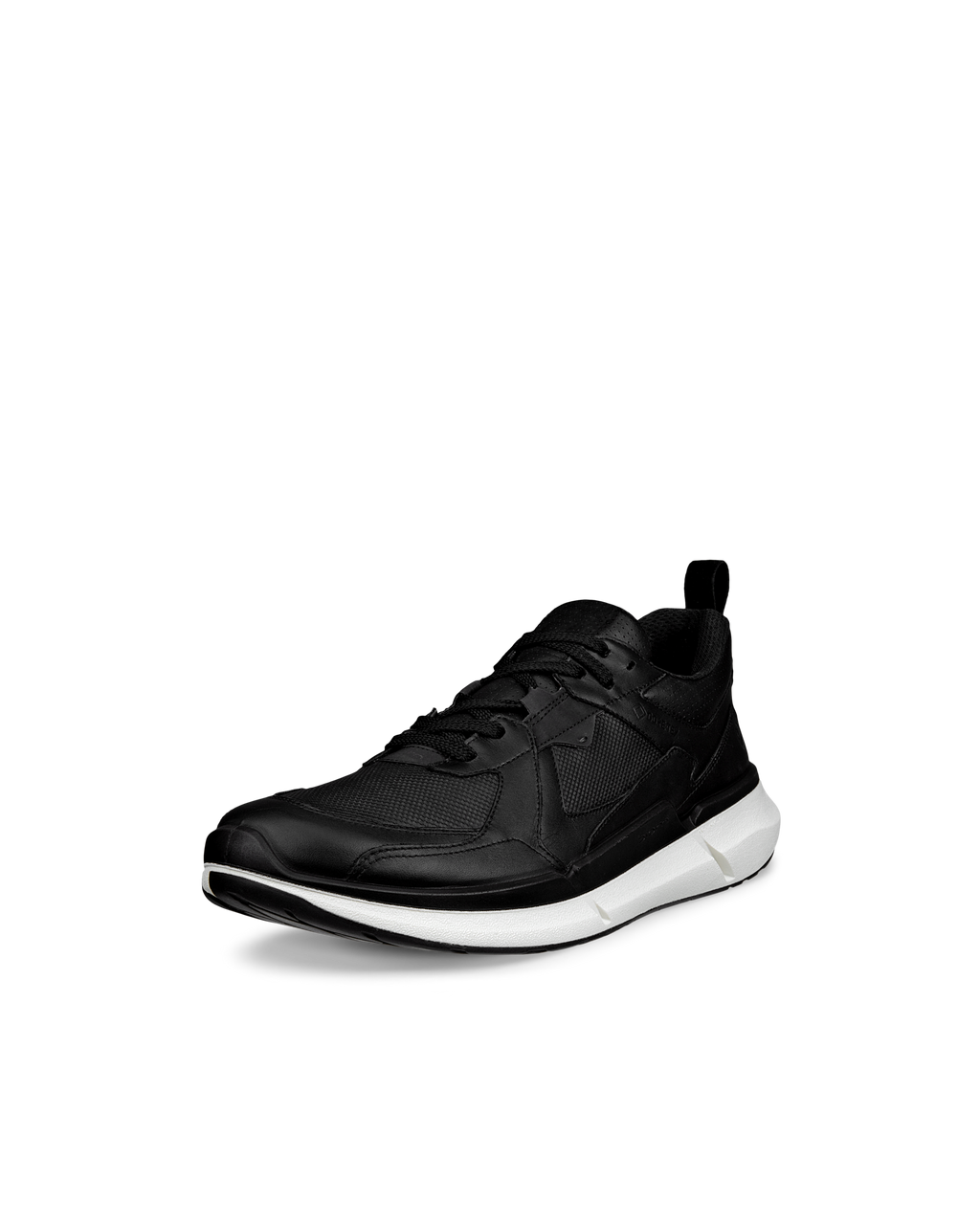 ECCO Biom 2.2 Gore-Tex Herren Schwarz