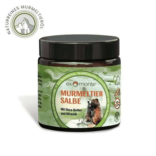 Exmonte Murmeltiersalbe 100ml