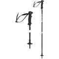 Witeblaze Alpine Pro Skistock schwarz