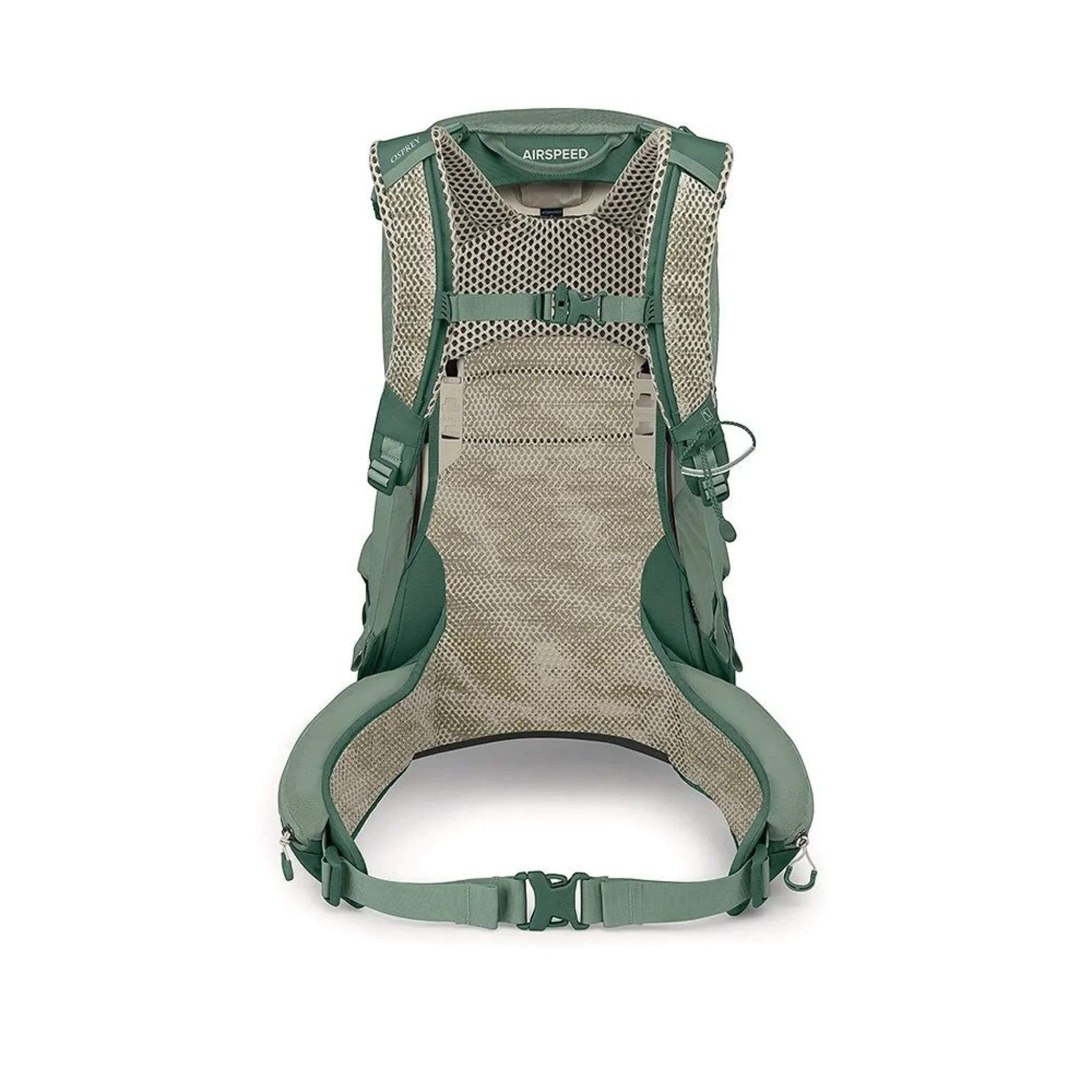 OSPREY Stratos 24 Pine Leaf