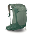 OSPREY Stratos 24 Pine Leaf