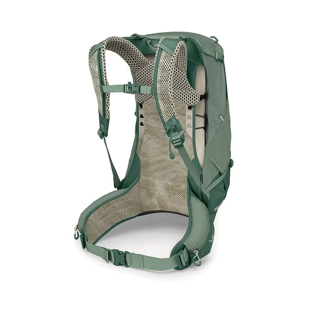 OSPREY Stratos 24 Pine Leaf